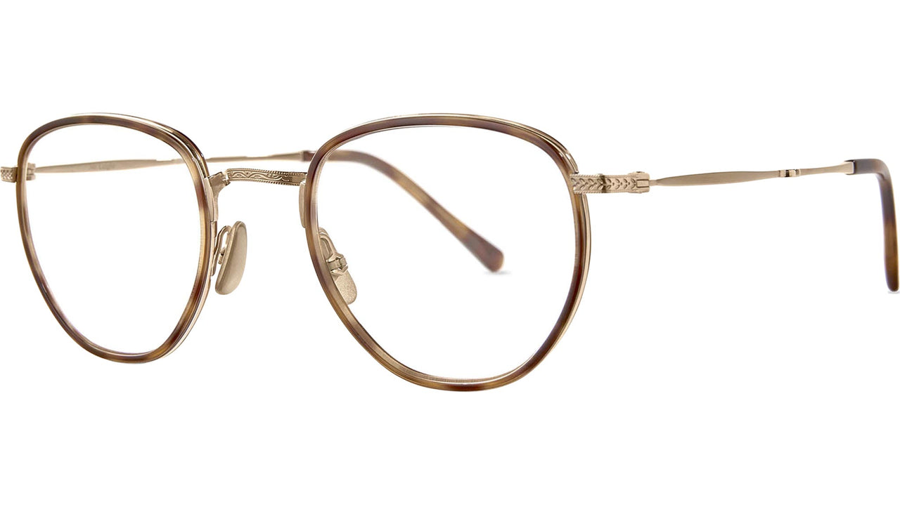 Roku C Yellowjacket Tortoise