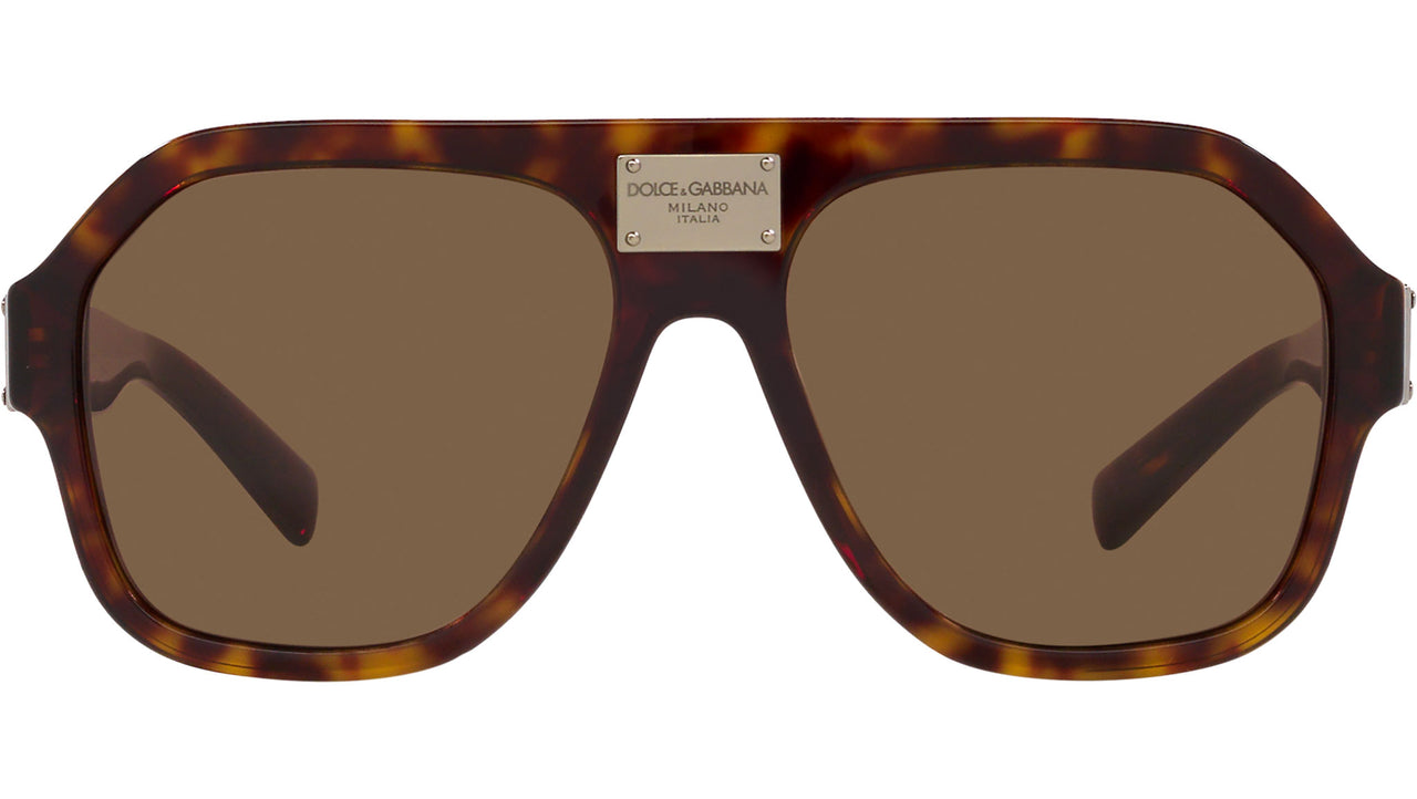 DG 4433 502/73 Tortoise Brown
