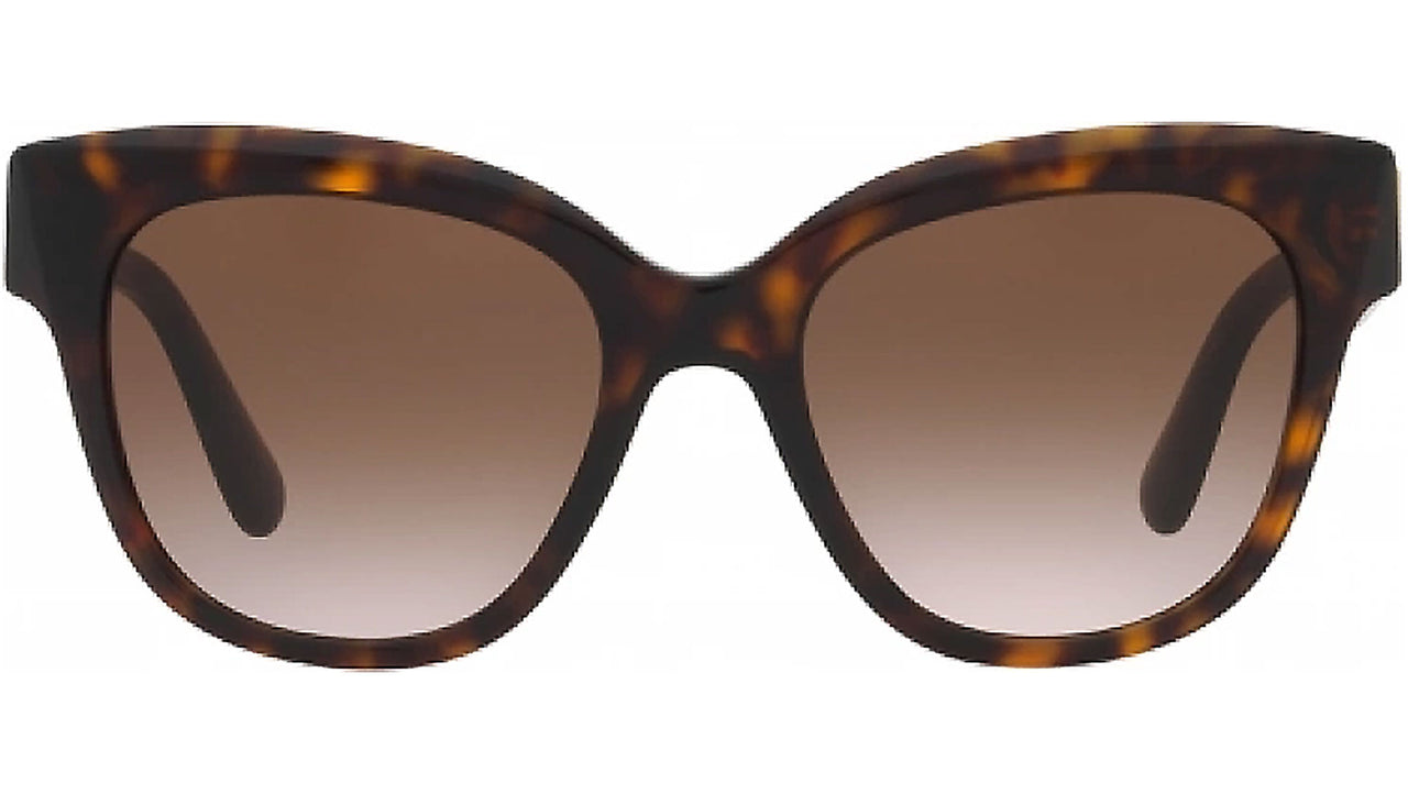 DG 4407 502/13 tortoise