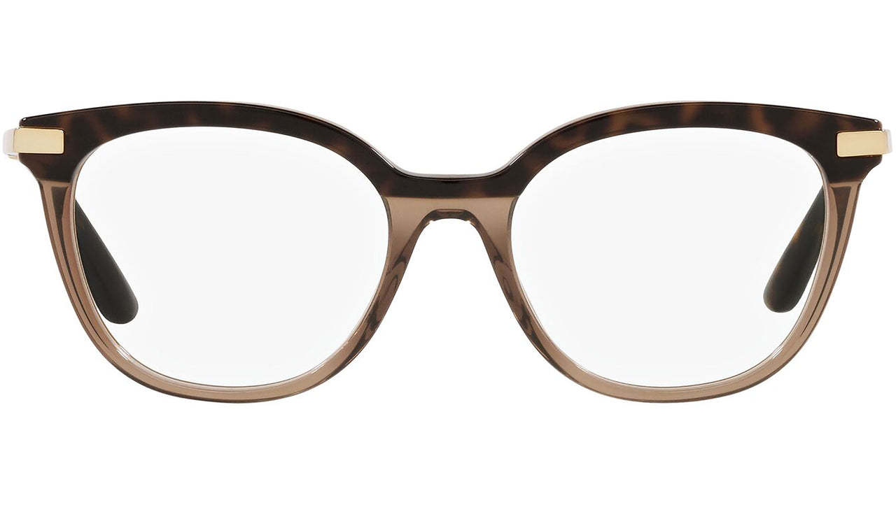 DG 3346 3256 tortoise