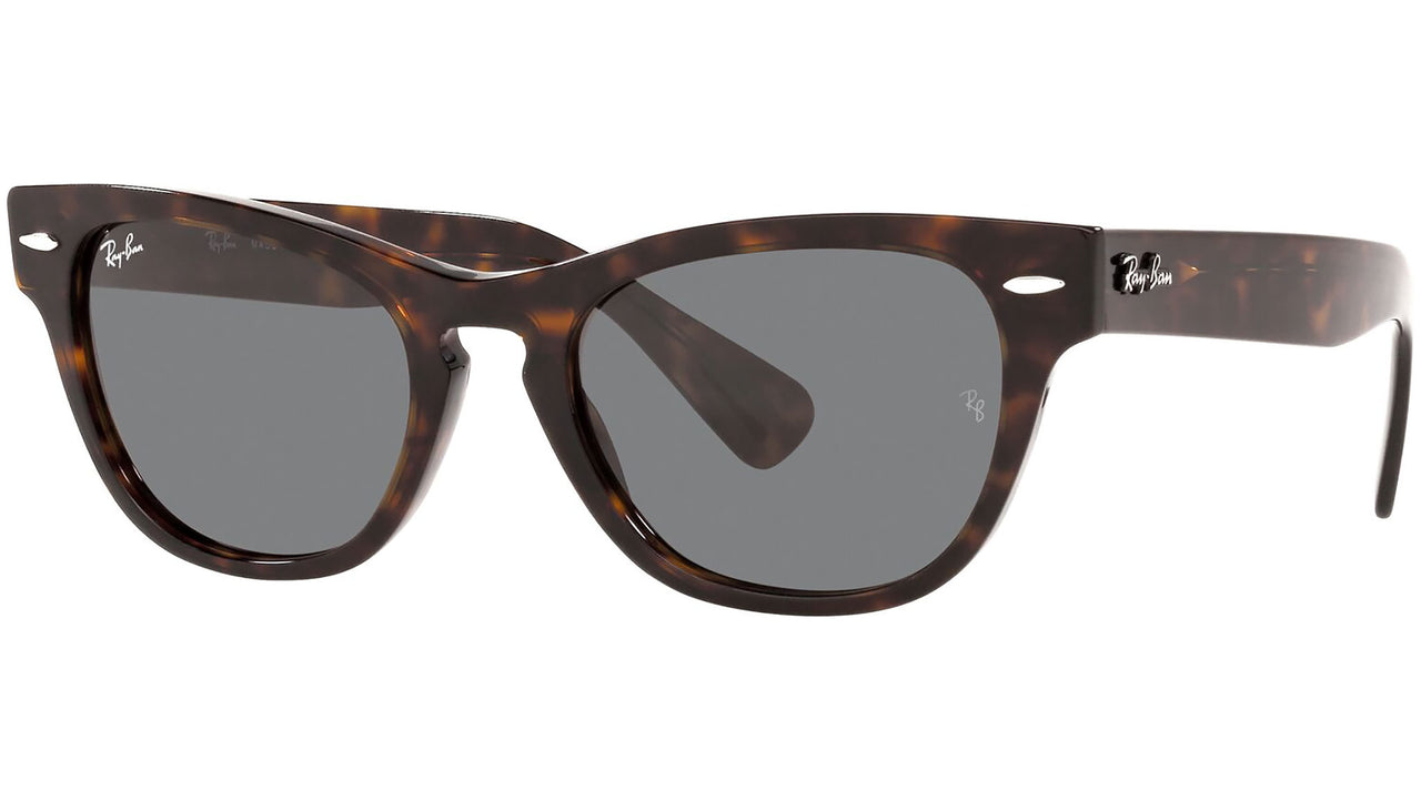 Laramie RB2201 902/B1 tortoise