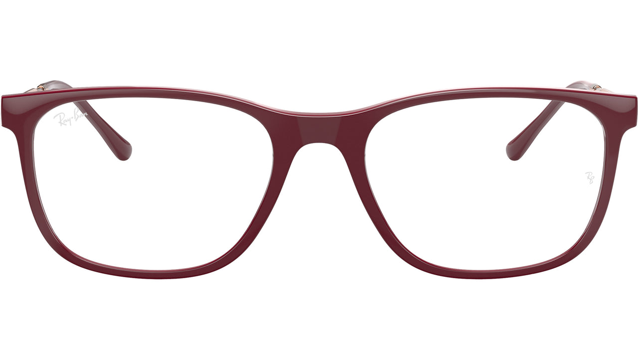 RB7244 Optics 8099