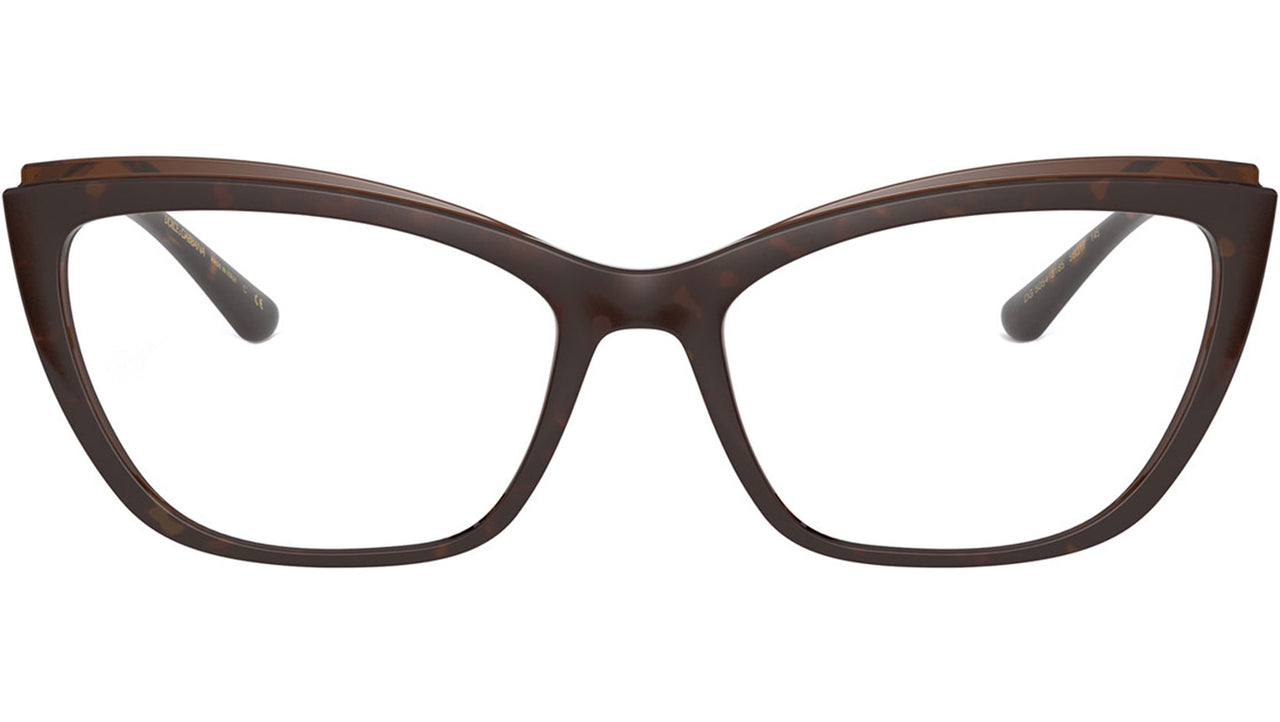 DG 5054 3185 tortoise