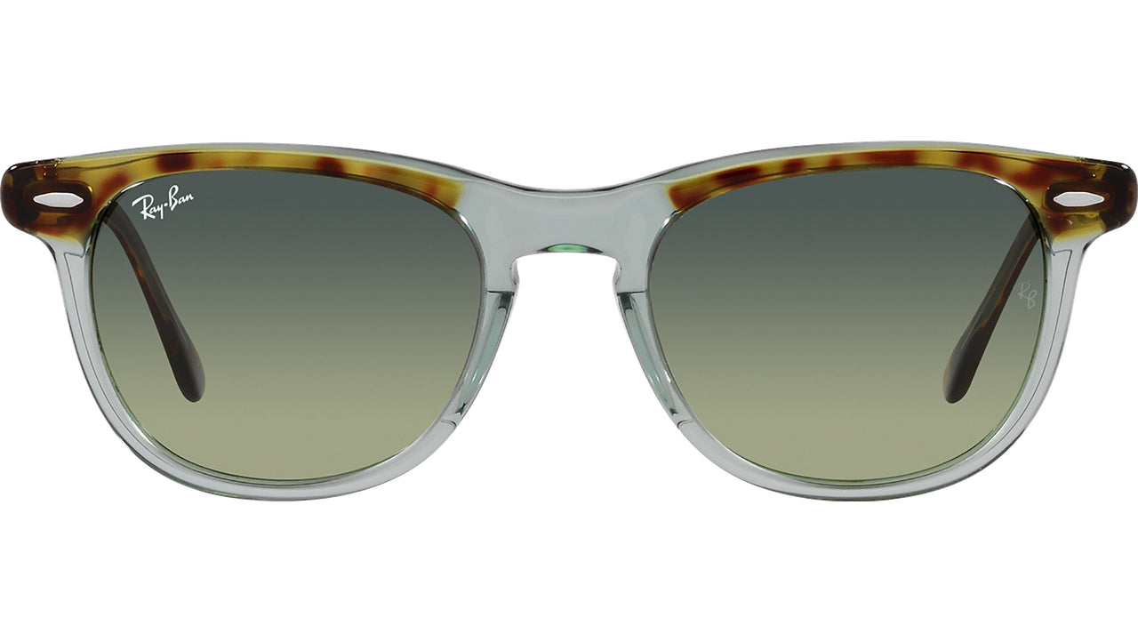 Eagleeye RB2398 1376BH tortoise