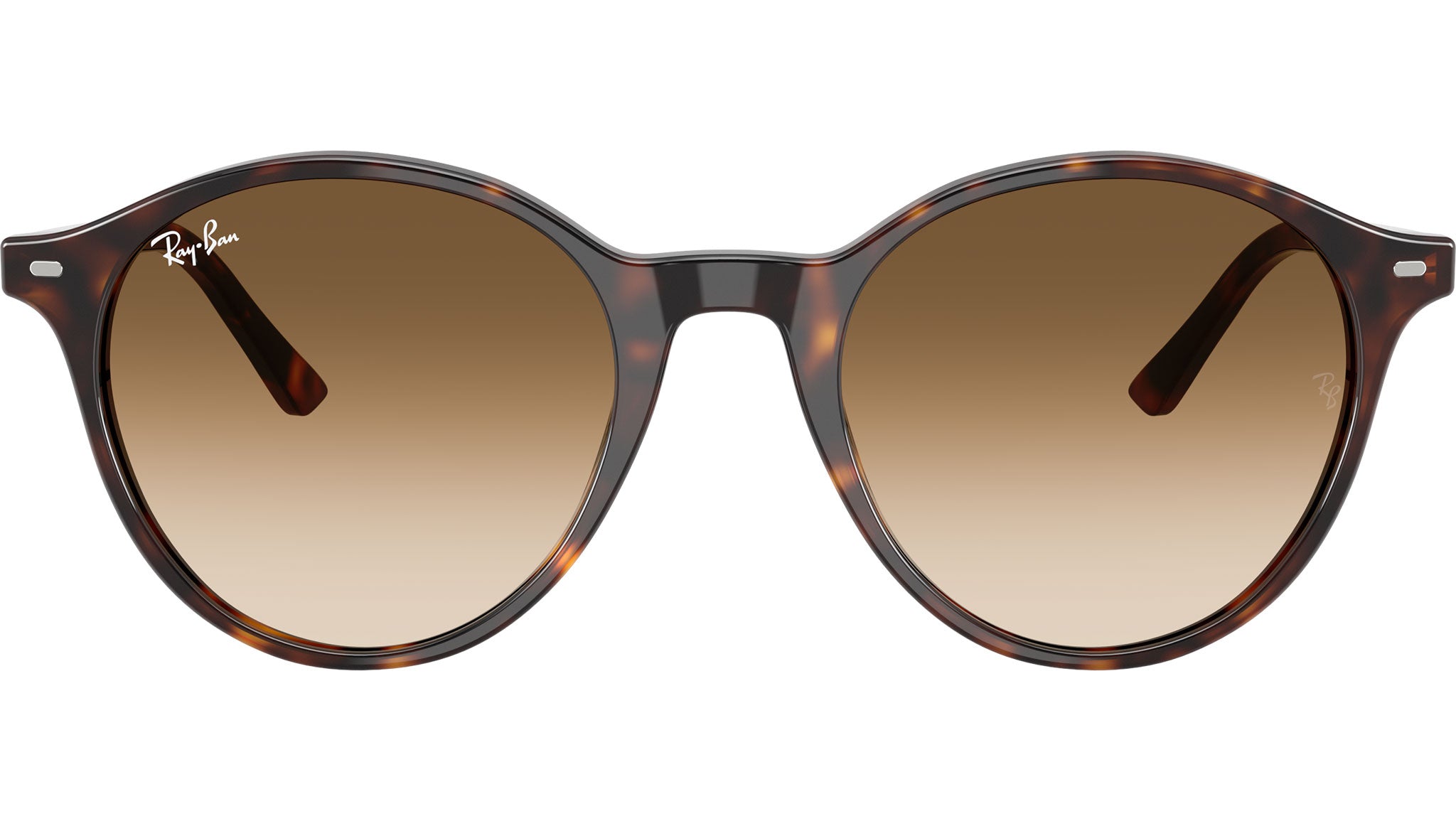 Ray-Ban Tortoiseshell Brown Lens Round Sunglasses Ray-Ban Bernard RB2230 Sunglasses 902/51 Havana - eye-oo.com main image 2