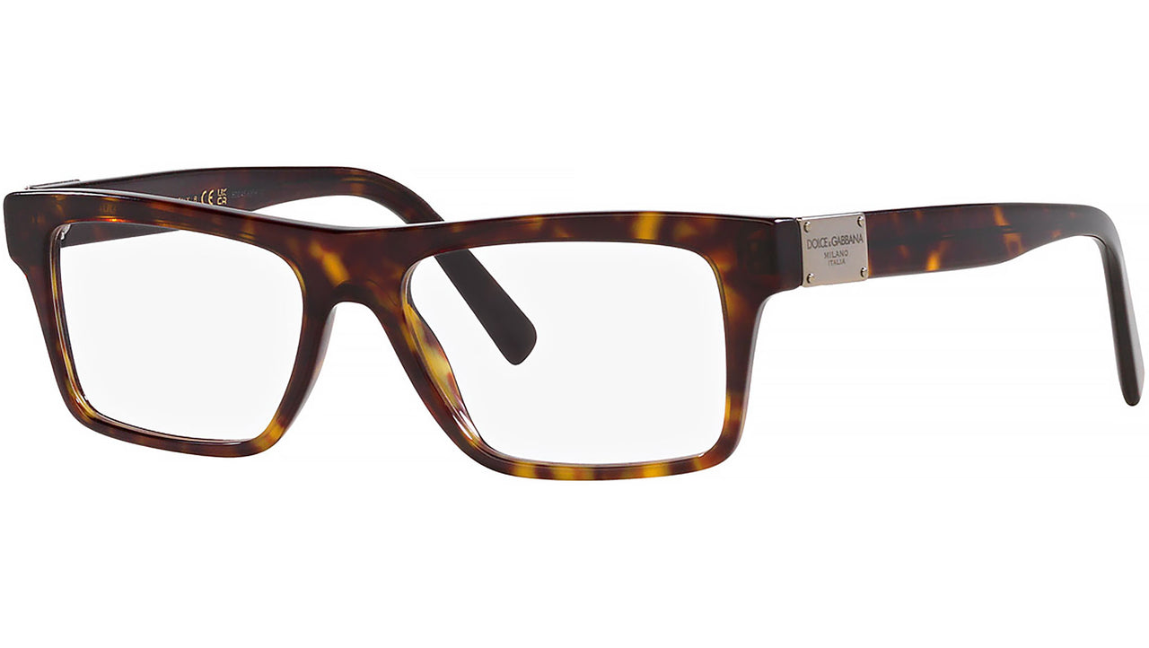 DG 3368 502 Tortoise