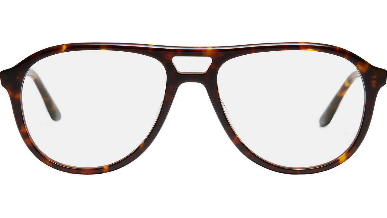 Aria Nocturne Tortoise