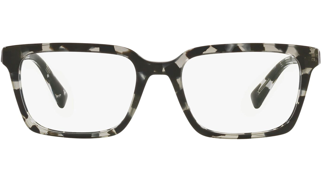 DG 3337 3172 tortoise