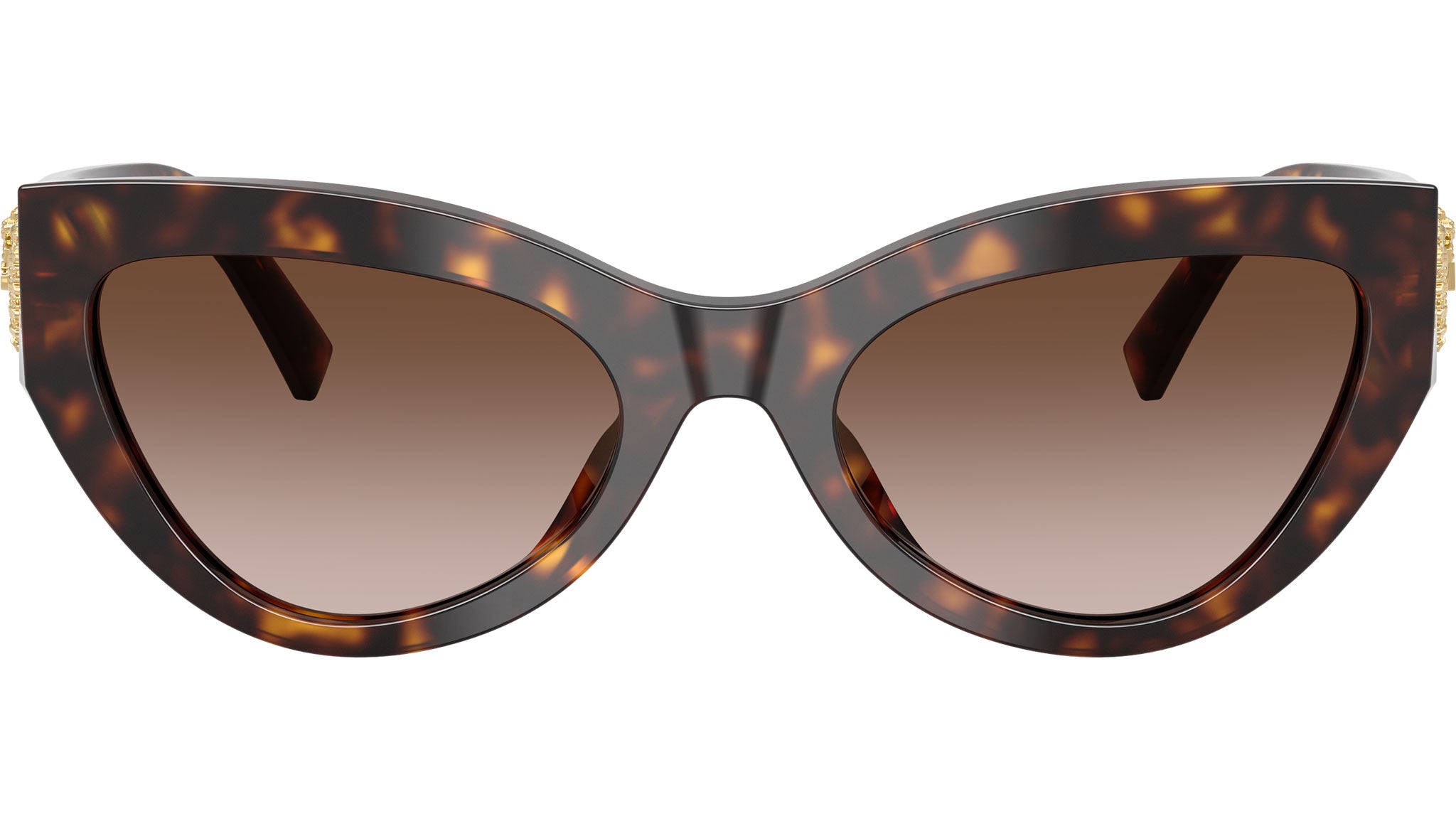 DG4536 Dolce & Gabbana Sunglasses 502/13 Havana - eye-oo.com