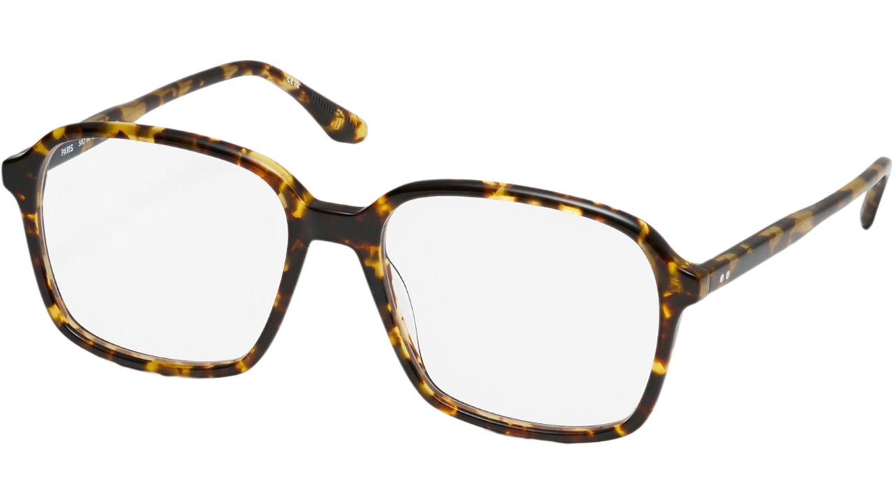 Marguerite Tortoise