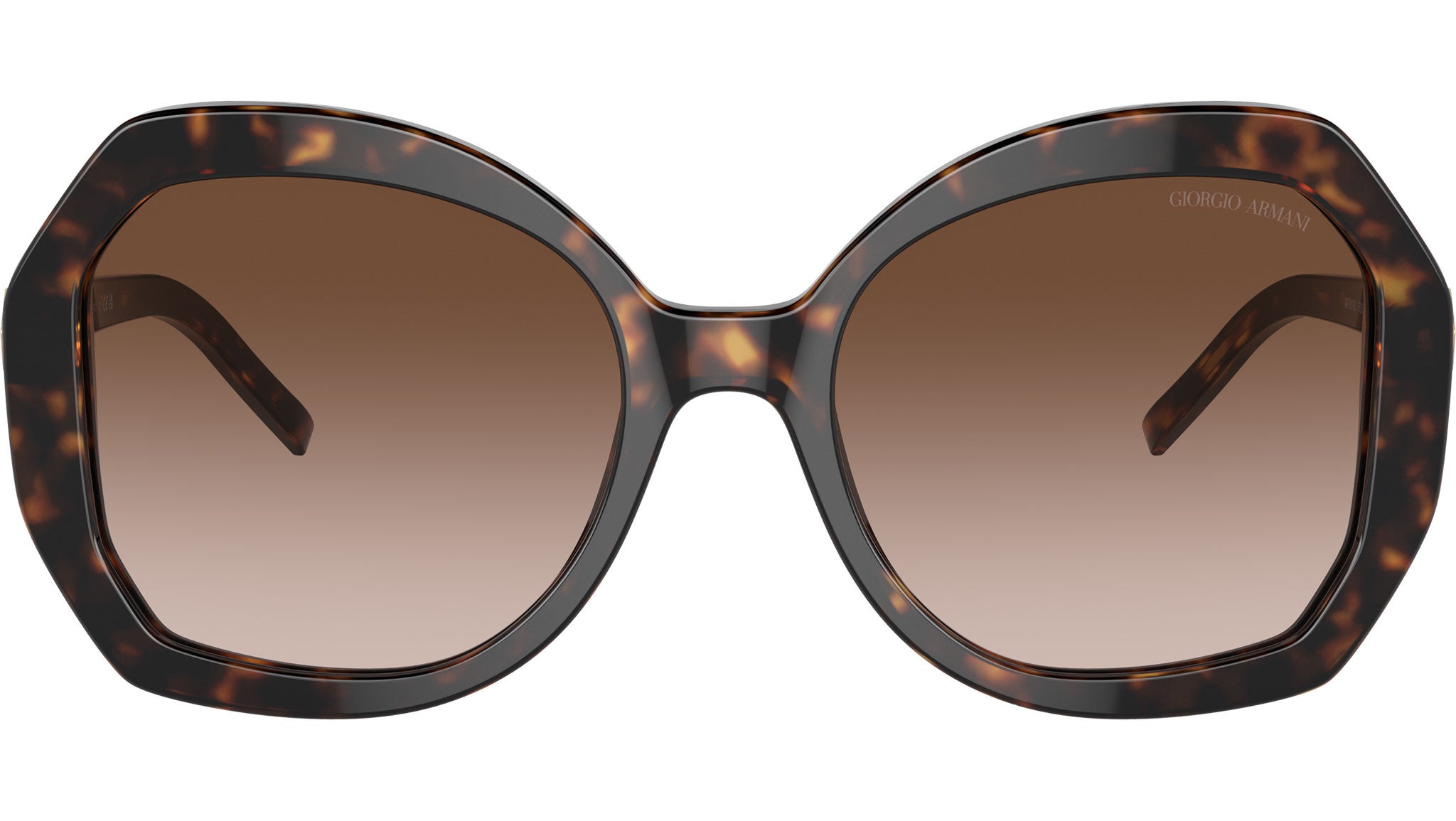 Armani AR 8180 Sunglasses 502613 Tortoise - eye-oo.com display picture 1