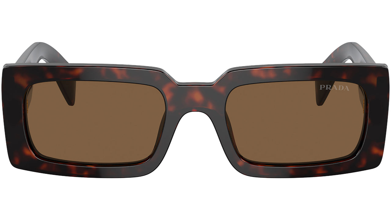 PR A07S 16N5Y1 Tortoise