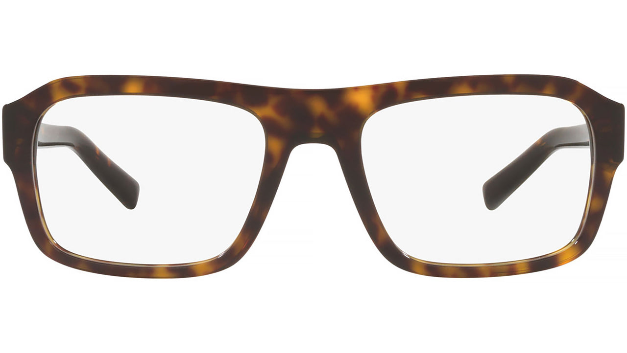 DG 3351 502 tortoise