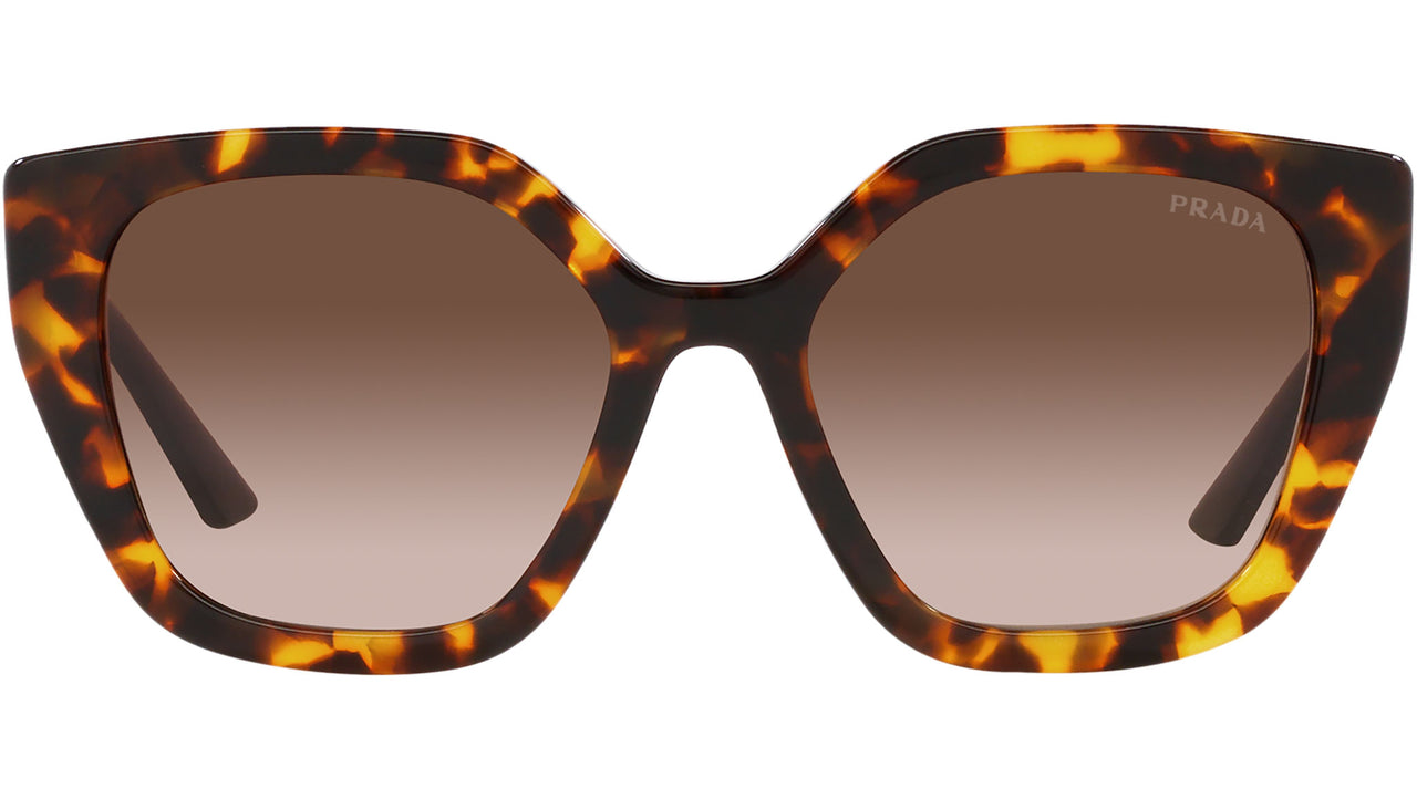 PR 24XS VAU6S1 honey tortoise