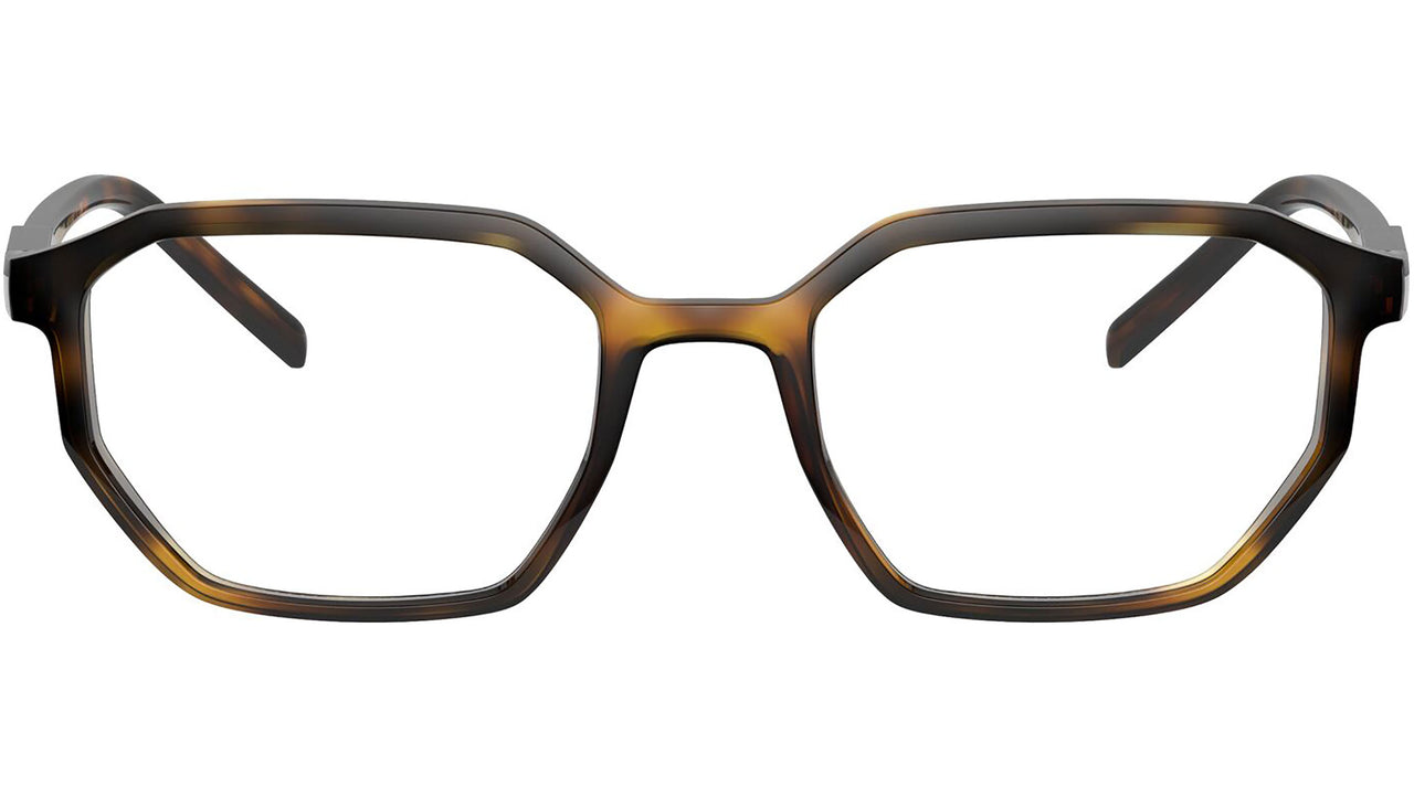 DG 5060 502 tortoise