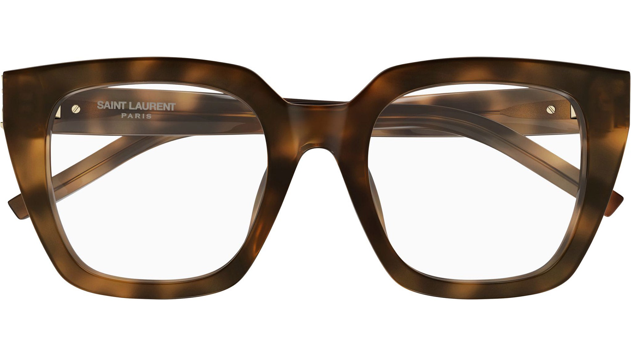 Saint Laurent SL M143 OPT 003 Shiny Havana Glasses - eye-oo.com display picture 2