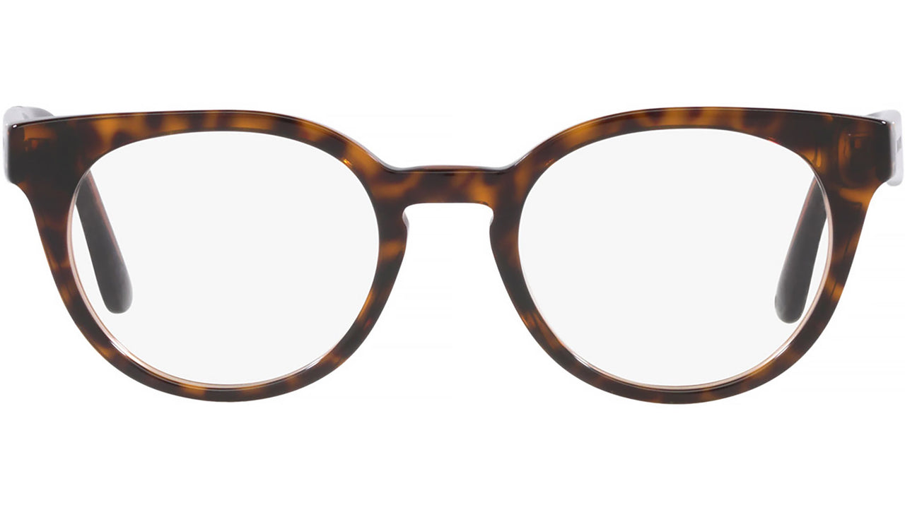 DG 3361 3256 tortoise