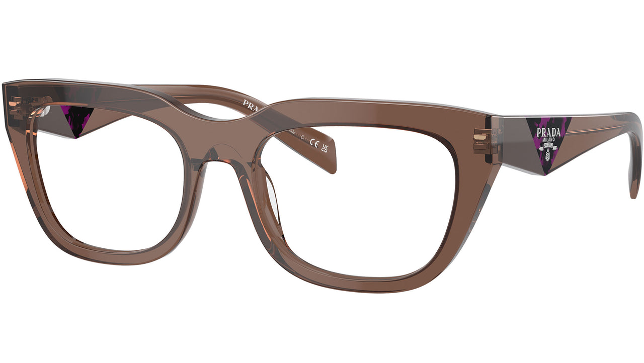 PR A06V 17O1O1 Brown