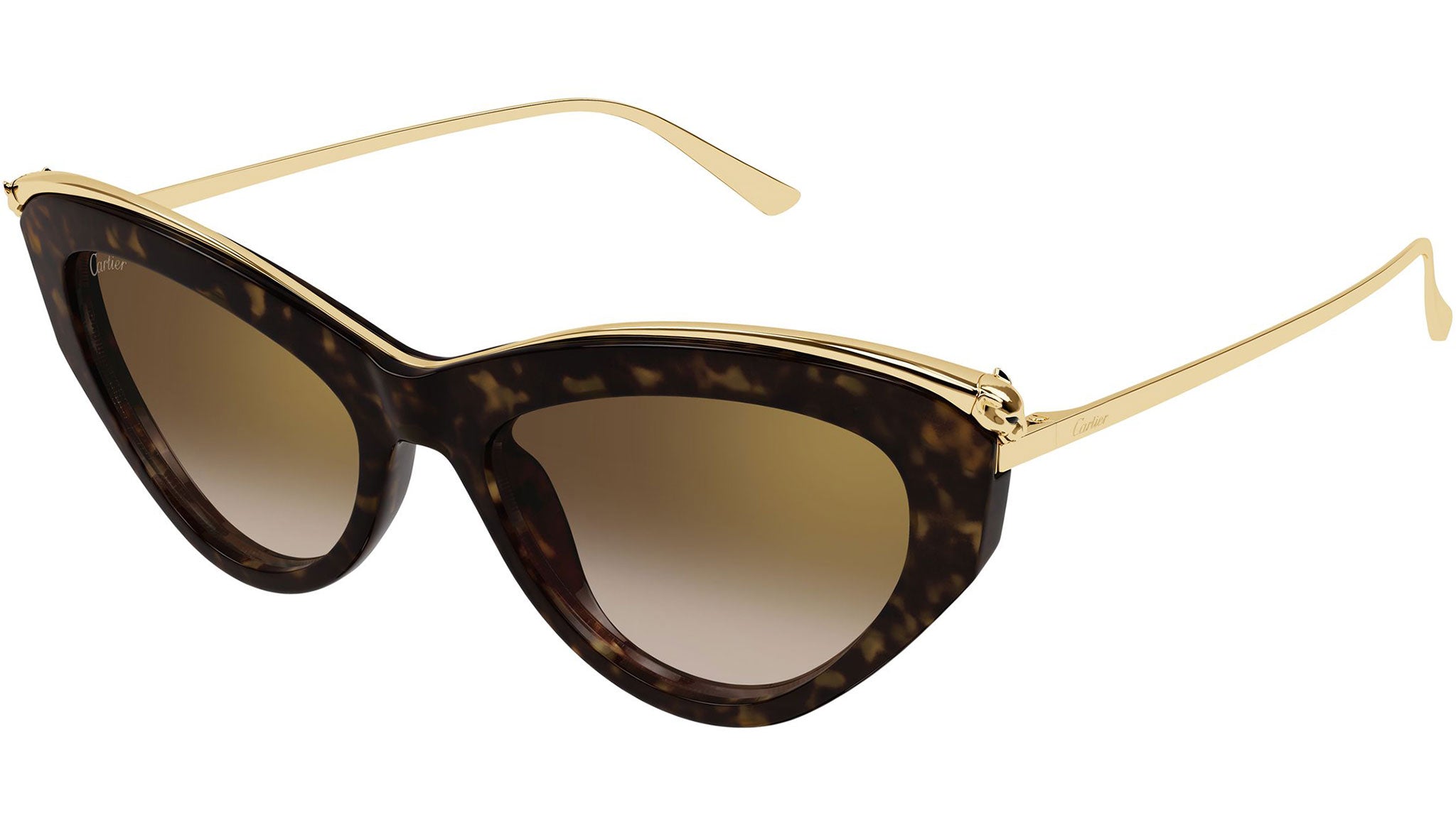 Cartier CT0596S Sunglasses 002 Dark Havana - eye-oo.com