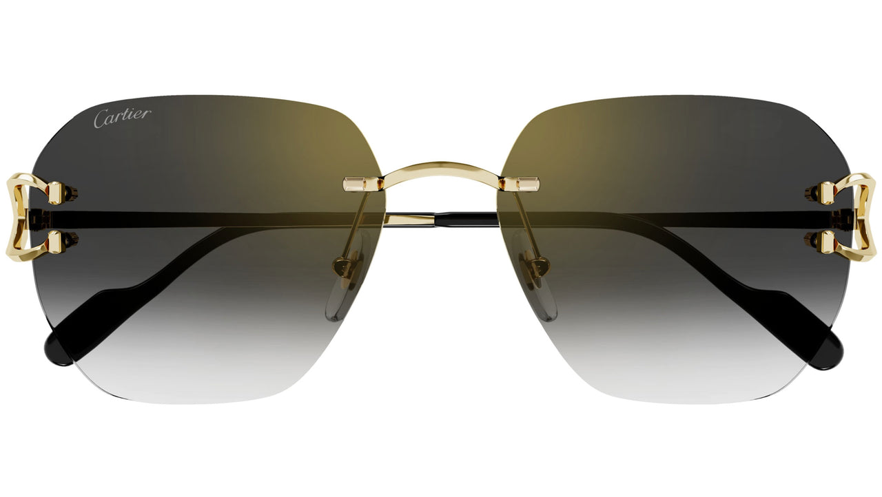 CT0394S 001 shiny gold