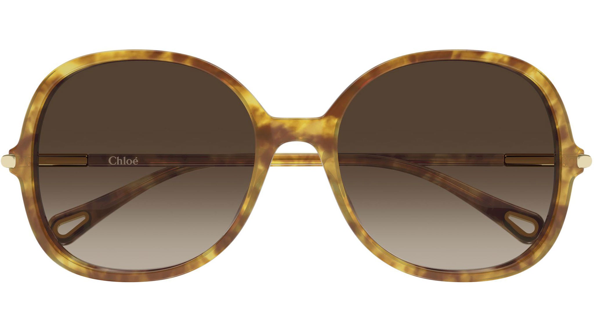 CH0383S Chloé Panthos Sunglasses 002 Havana Gradient Brown - eye