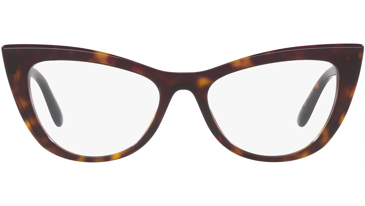 DG 3354 502 tortoise