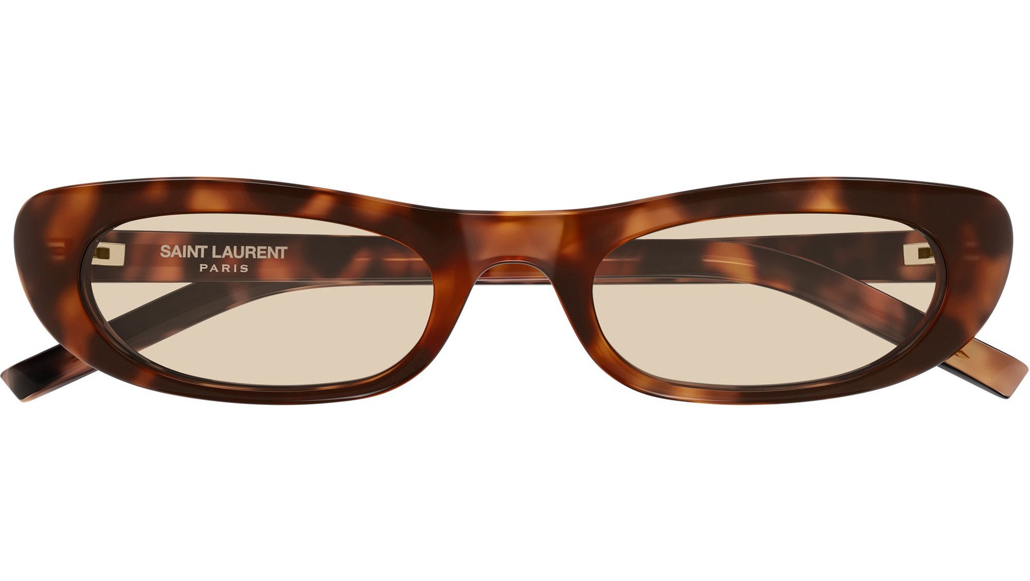 SL 557 SHADE Saint Laurent Sunglasses 008 Shiny Havana - eye-oo.com