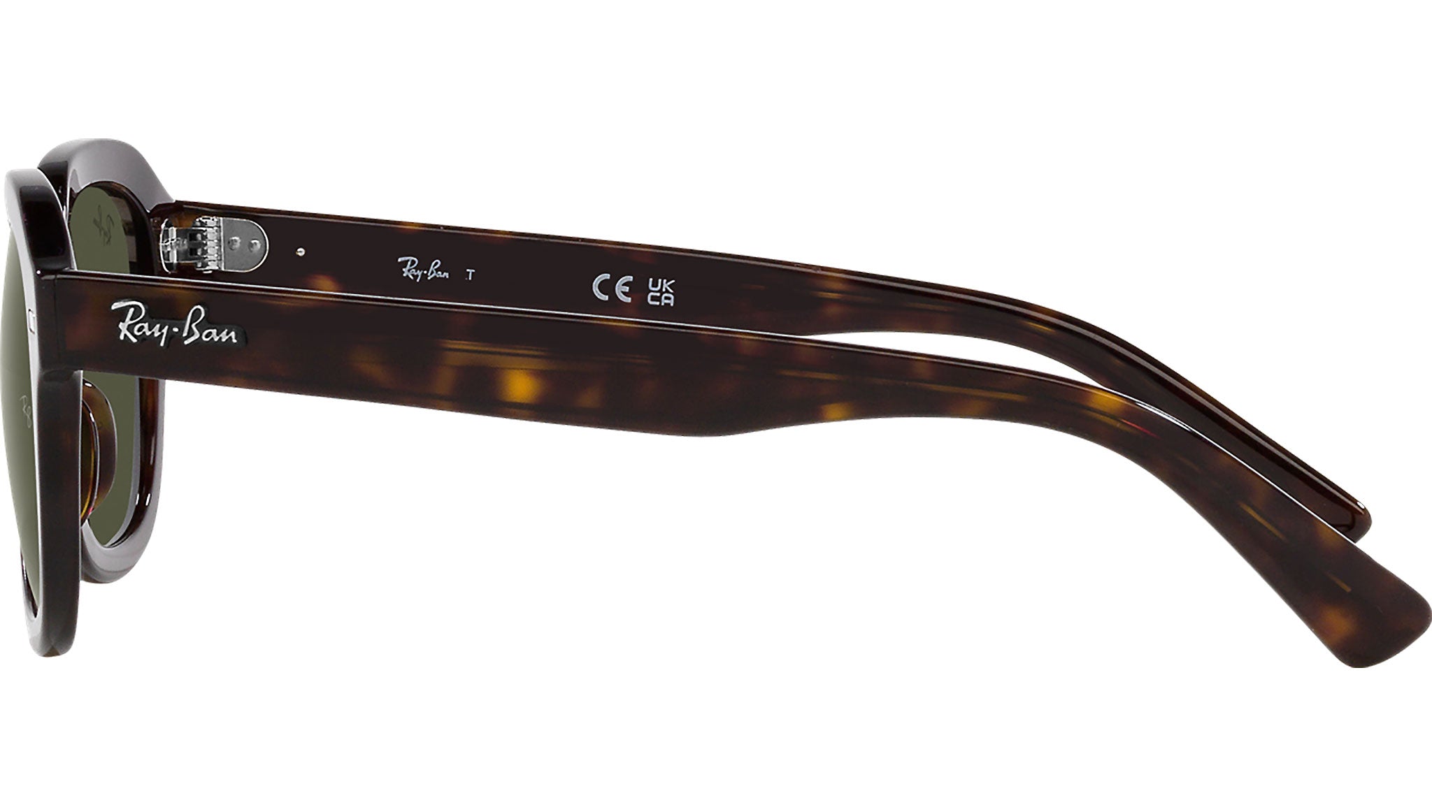 Ray-Ban Erik RB4398 902/31 Tortoise Sunglasses - eye-oo.com