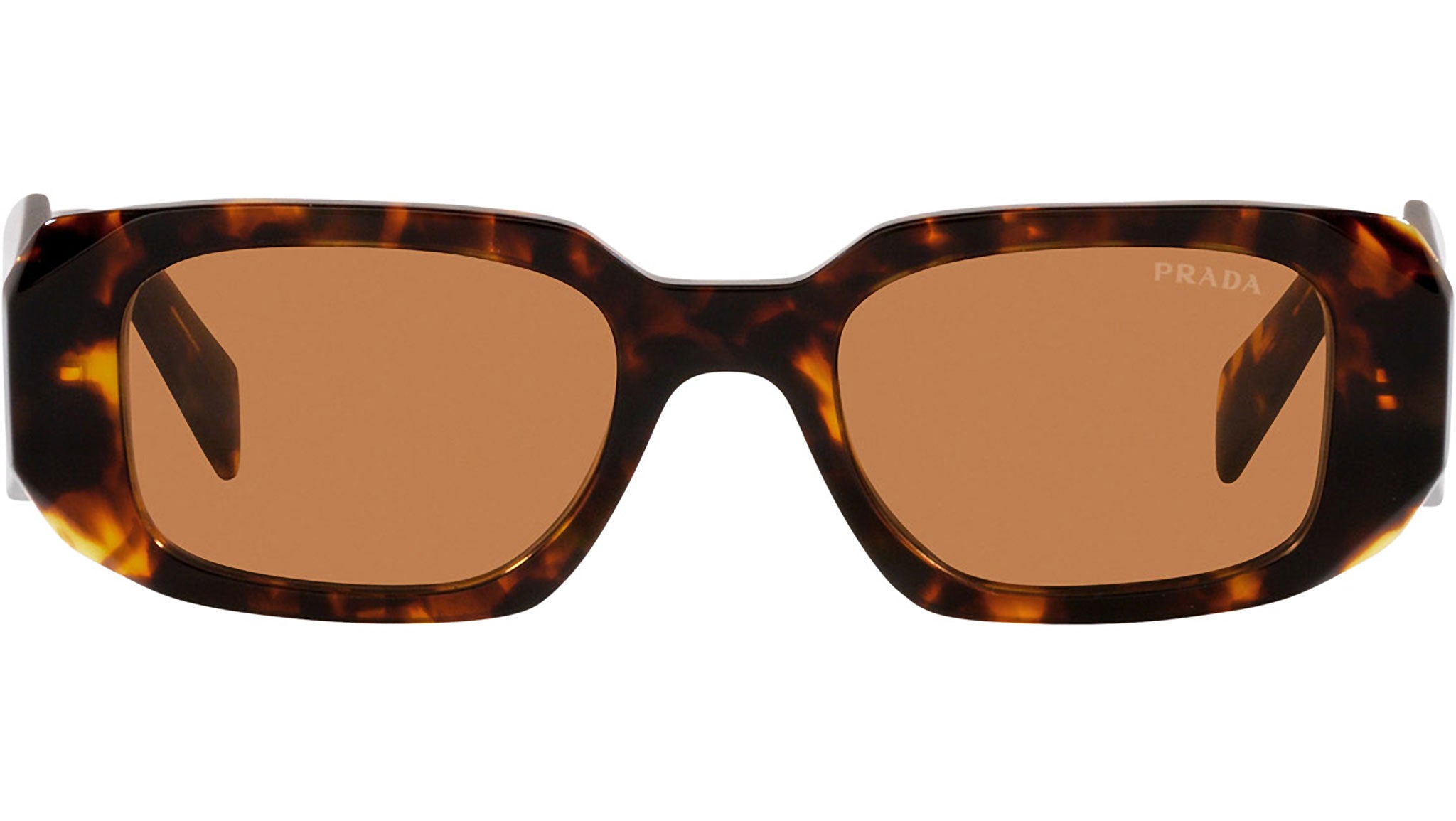 prada PR-17WS in tortoise Prada 17WS Sunglasses | Tortoise Brown – Great Southern Sunnies main image 3