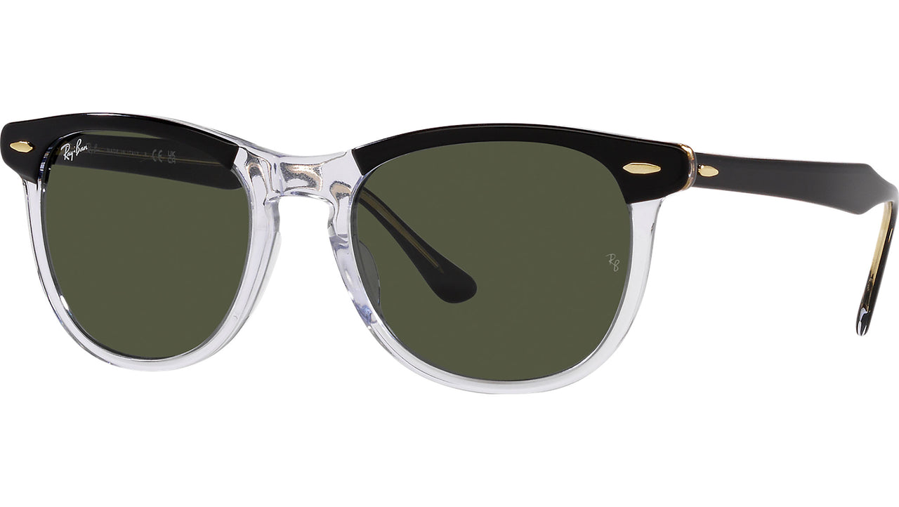 Eagleeye RB2398 129431 black