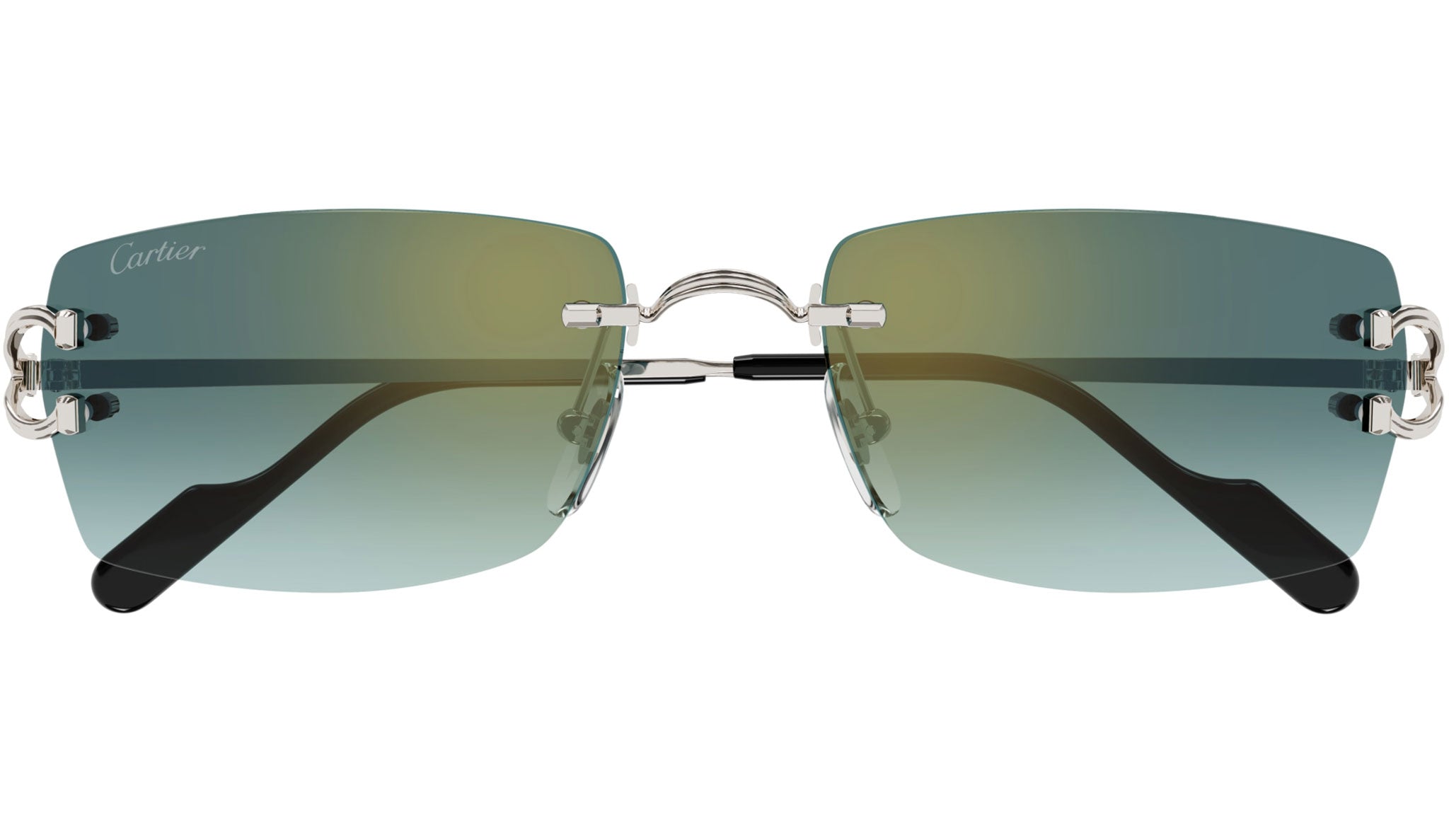 Cartier CT0550S 004 Sunglasses Shiny Platinum Green - eye-oo.com
