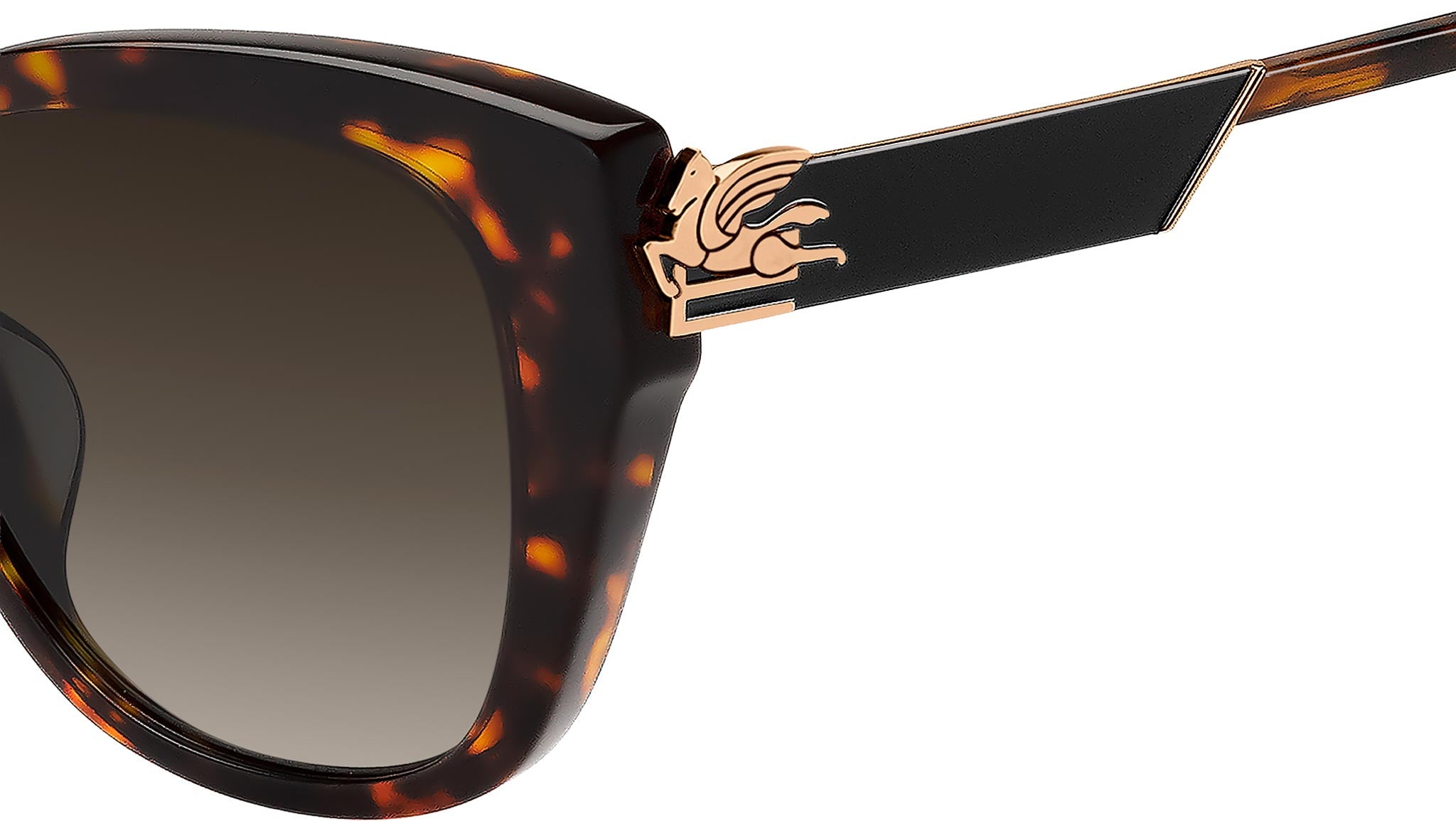 Etro エトロ サングラス ETRO 0062/F/S 08686 Havana Etro エトロ サングラス ETRO 0062/F/S 08686 Havana