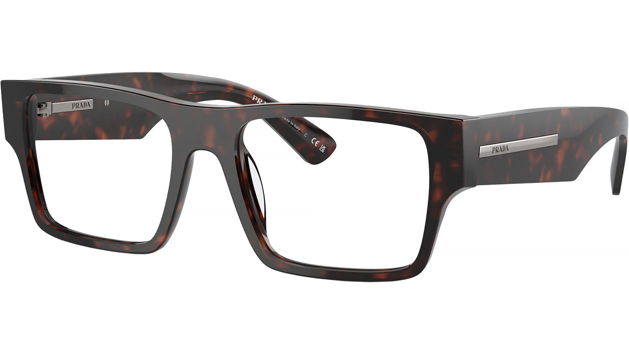 PR A08V 17N1O1 Tortoise