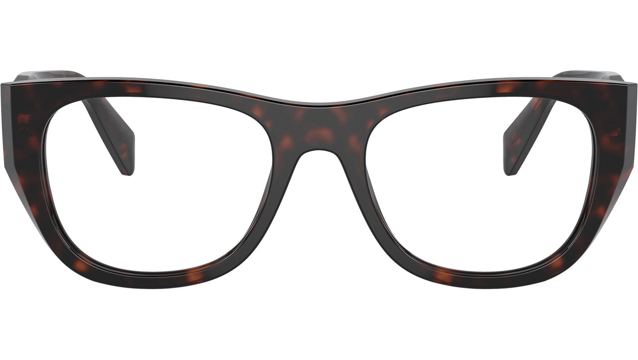 PR A18V 17N1O1 Tortoise