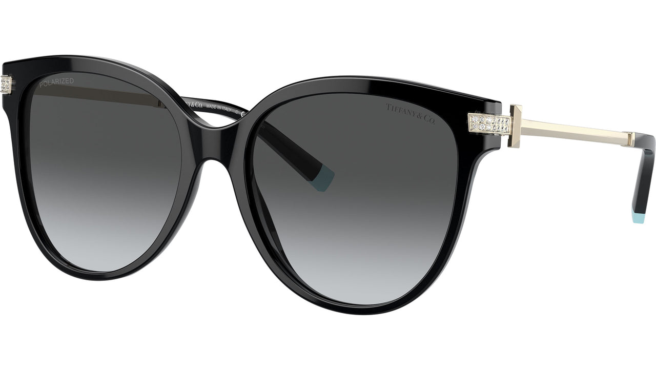 TF4193B 8001T3 Black