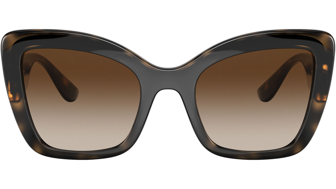 DG 6170 330613 tortoise