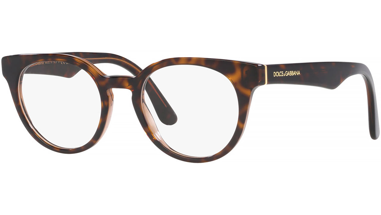 DG 3361 3256 tortoise