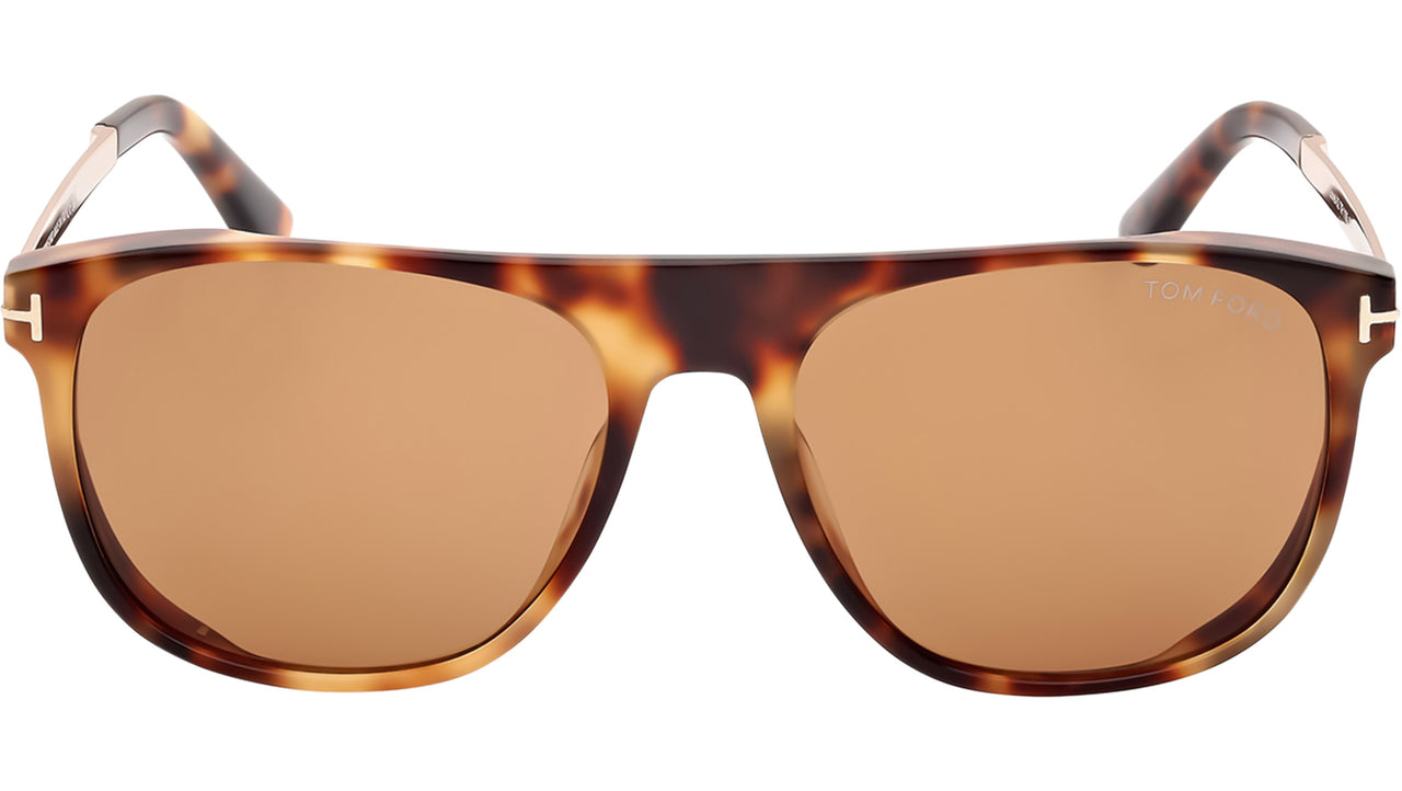 Lionel-02 FT1105 55E Spotted Havana Brown