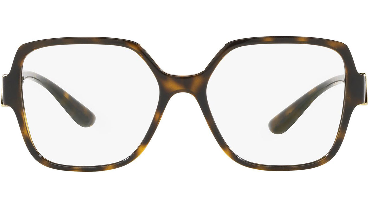 DG 5065 502 tortoise