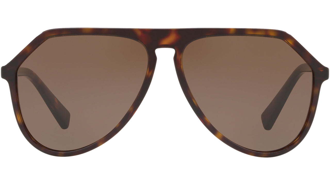 DG 4341 502/73 tortoise