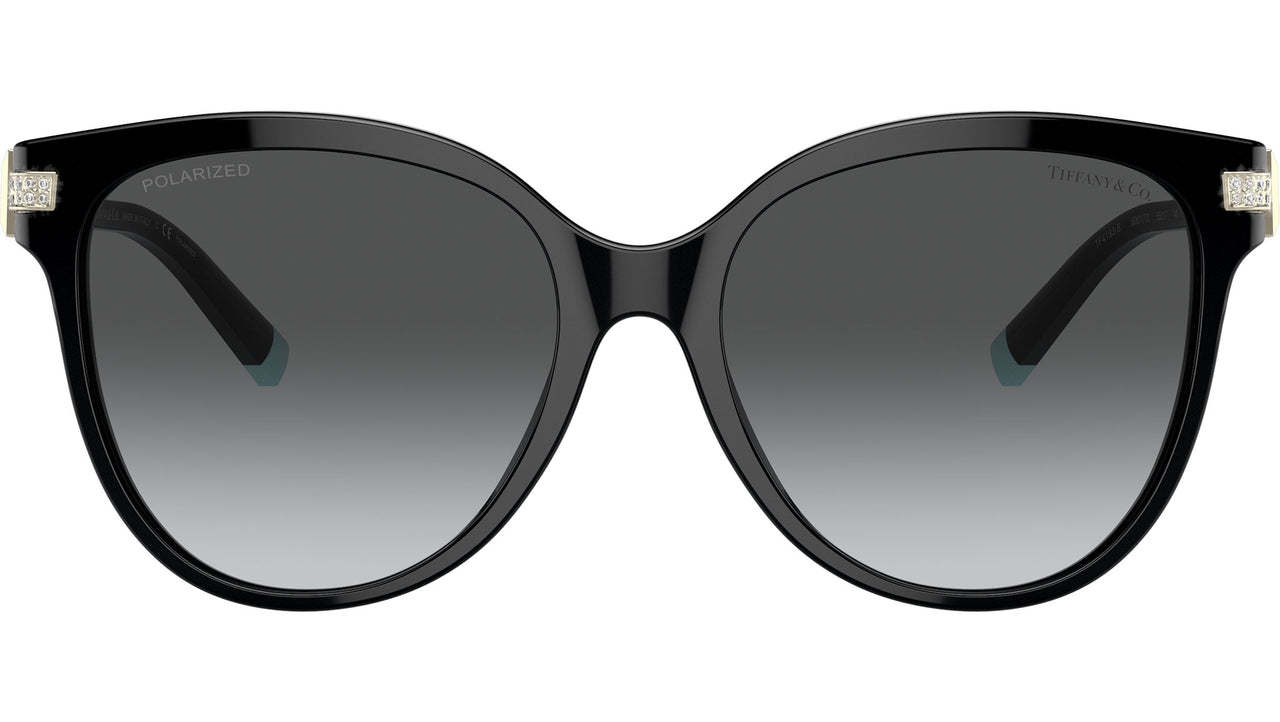 TF4193B 8001T3 Black