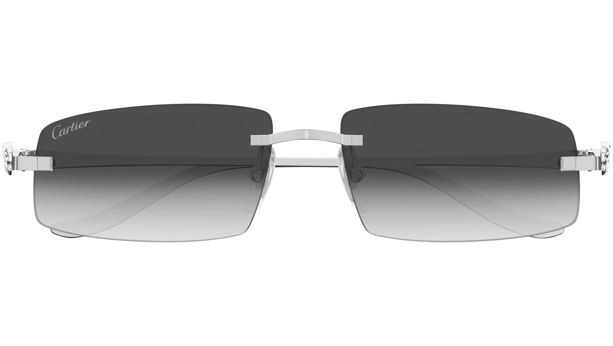 Cartier CT0505S 002 Sunglasses Shiny Platinum - eye-oo.com