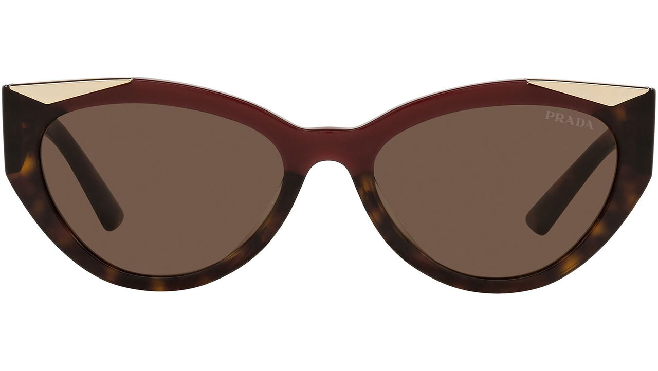 PR 03WS cherry and dark havana