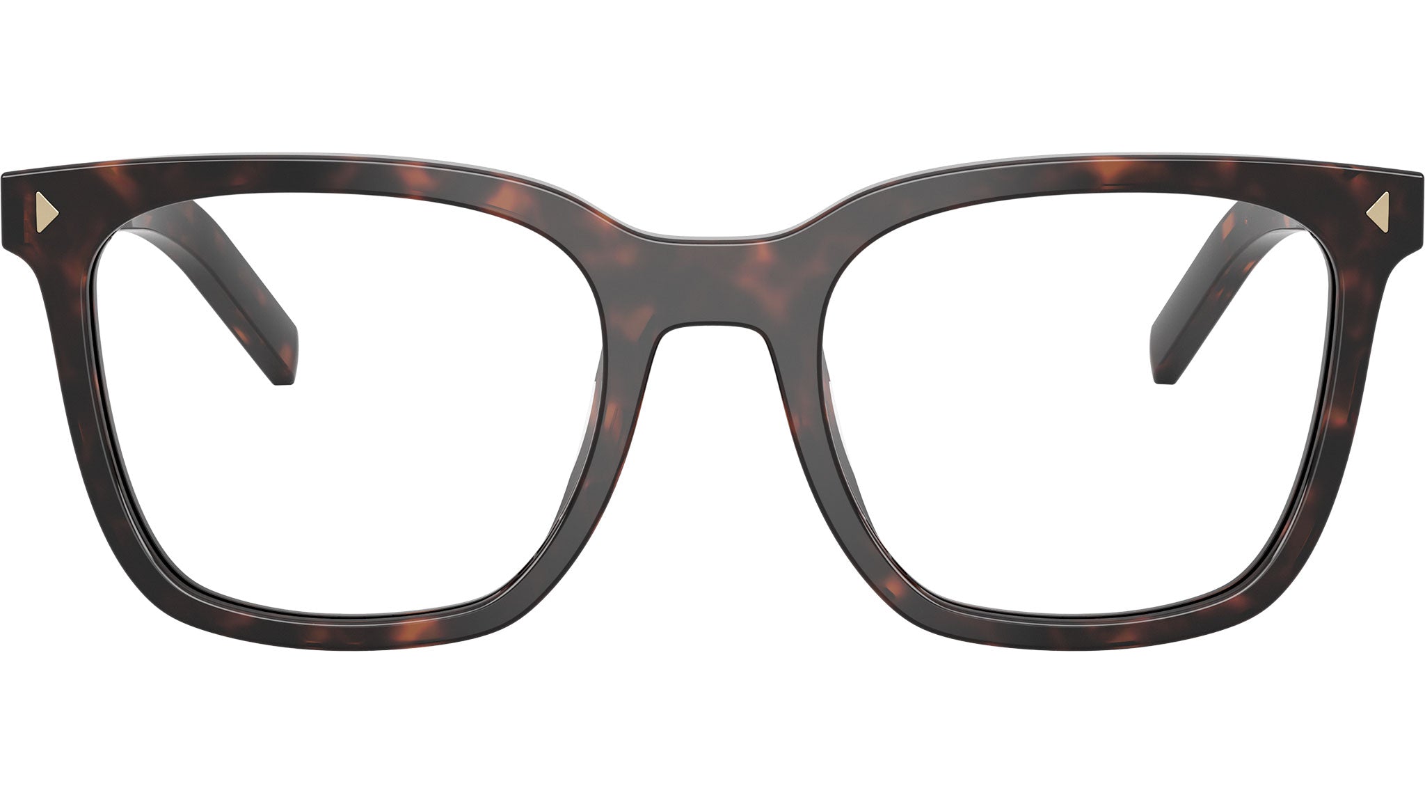 PR B11V Prada Glasses 17N1O1 Root Tortoise - eye-oo.com