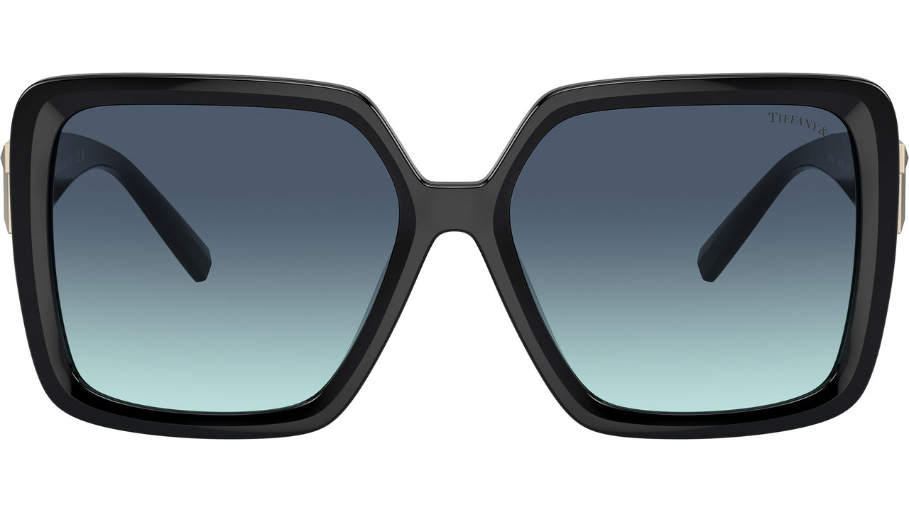 TF4206U 80019S Black