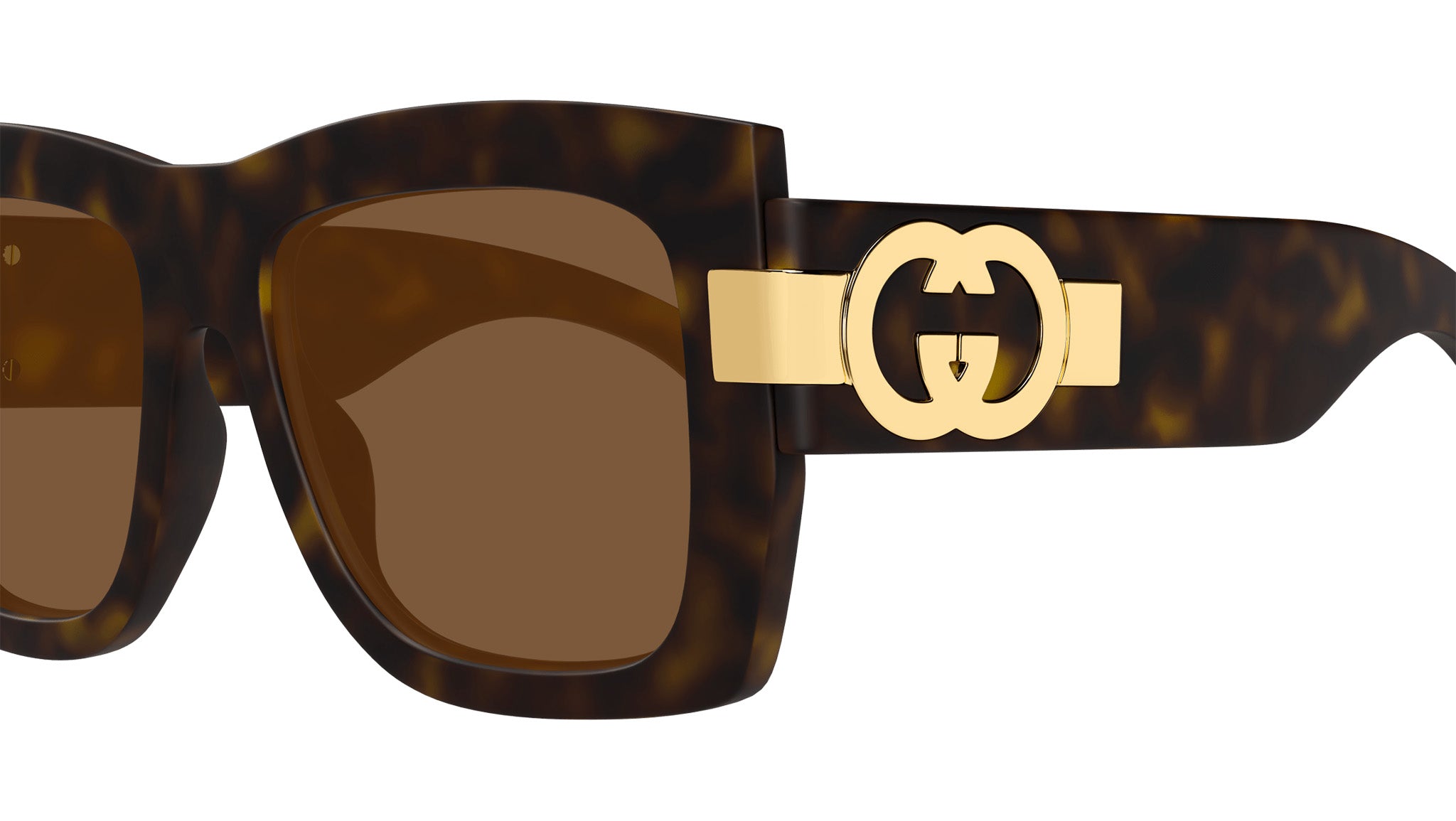 Gucci Sunglasses GG1688S 002 Shiny Dark Havana - eye-oo.com