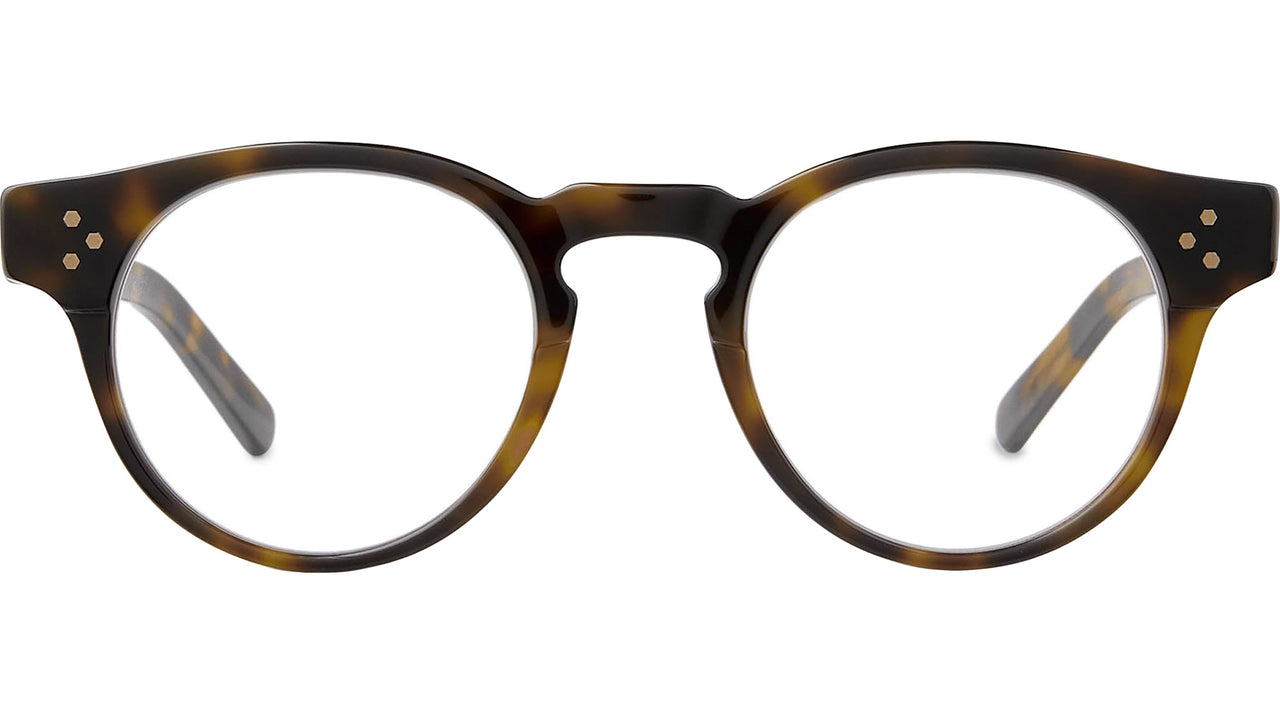 Kennedy C Yellowjacket Tortoise