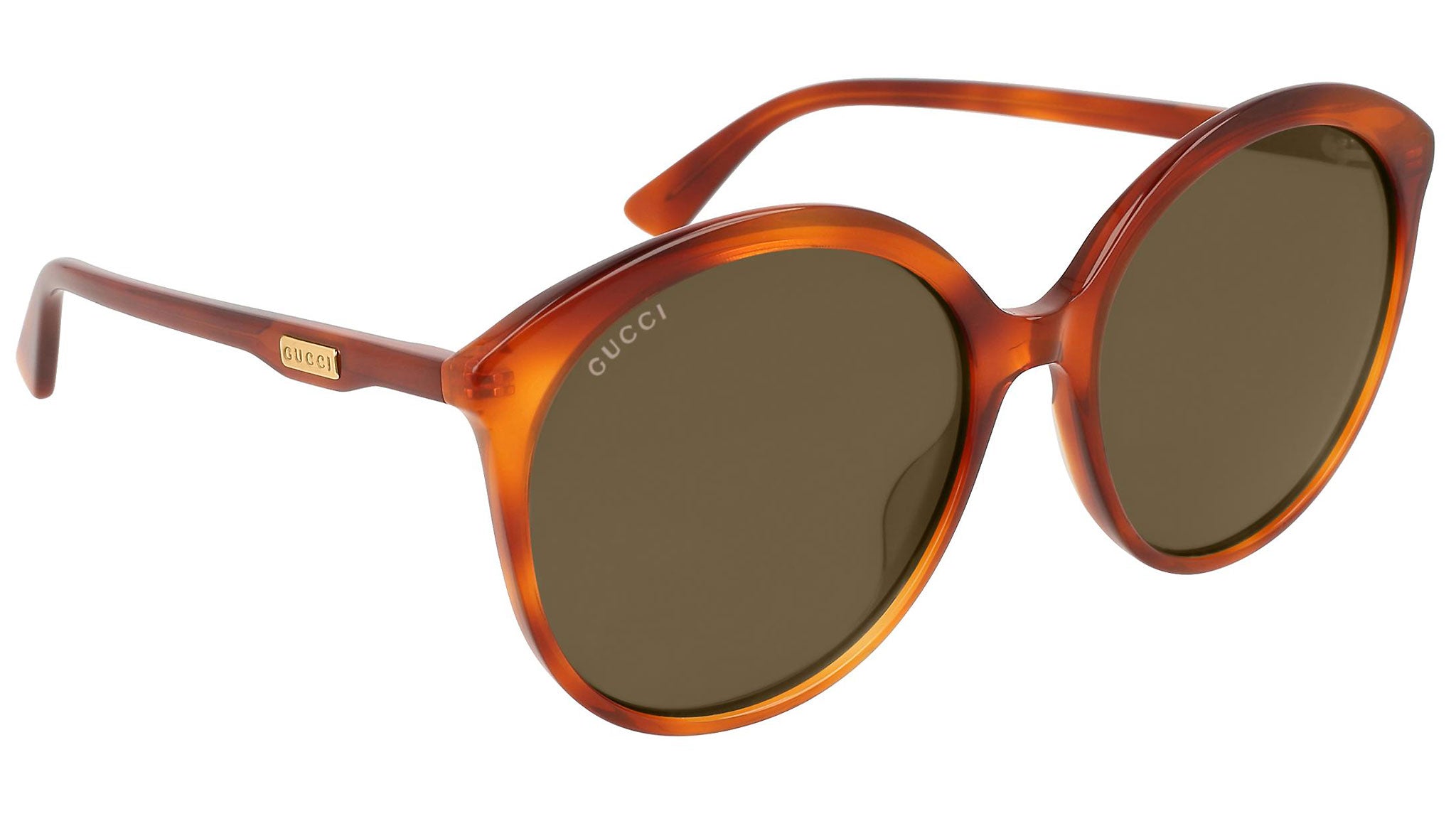 Gucci Sunglasses GG0257S 002 Brown - eye-oo.com display picture 2
