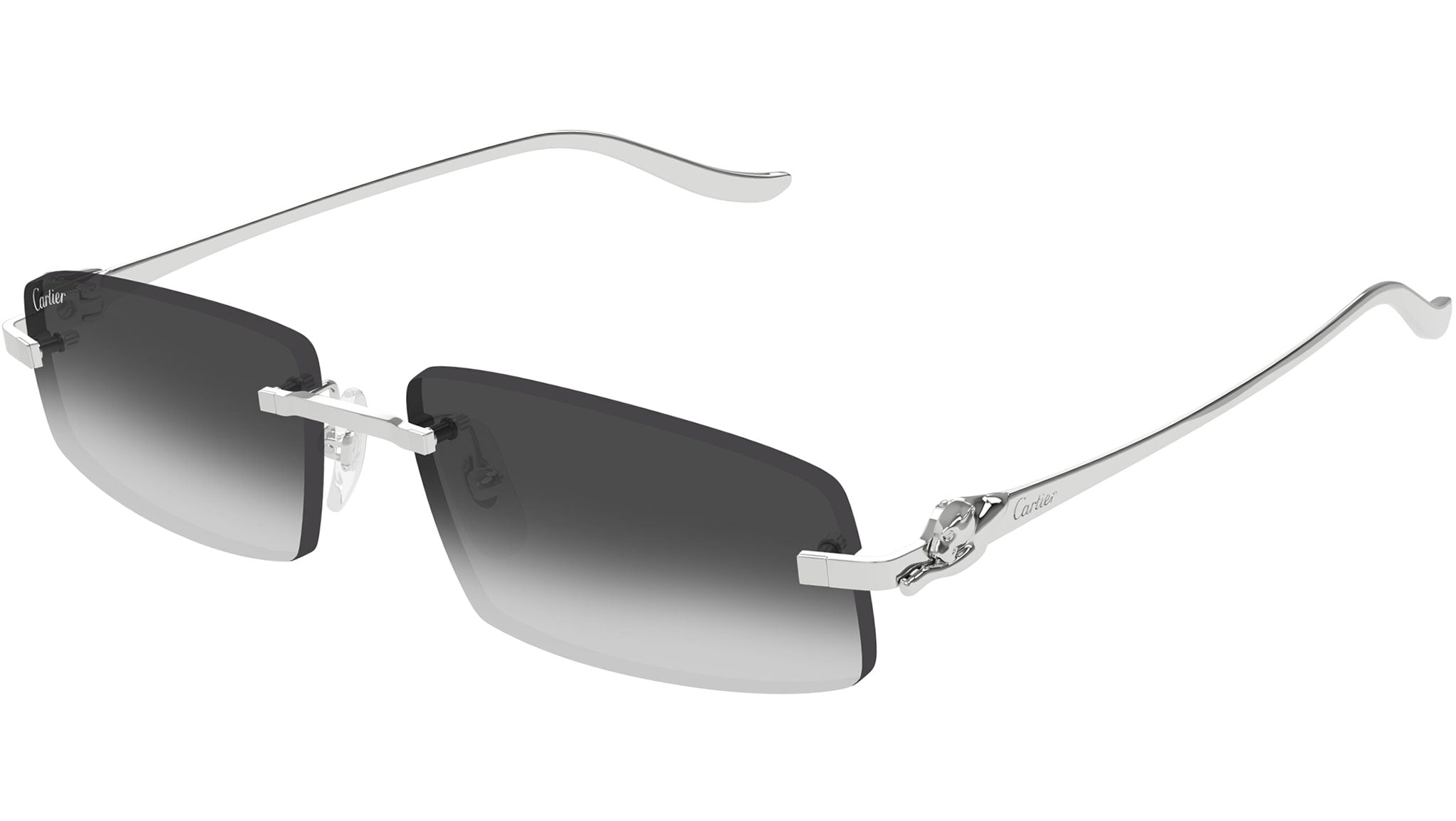 Cartier CT0505S 002 Sunglasses Shiny Platinum - eye-oo.com