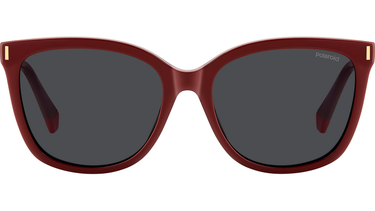 PLD 6229/CS C9A M9 Clip